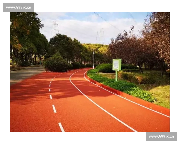 全面提升体育竞技体验 官方网站为您提供最专业服务与资讯